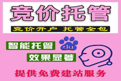 百度平台推广：成功案例解析与效果分析